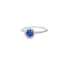 Sapphire & Diamond Halo Ring Set in Platinum