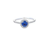 Sapphire & Diamond Halo Ring Set in Platinum